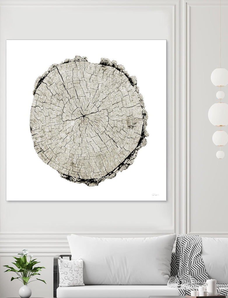 Woodland Years II on White by Sue Schlabach on GIANT ART - grey trees