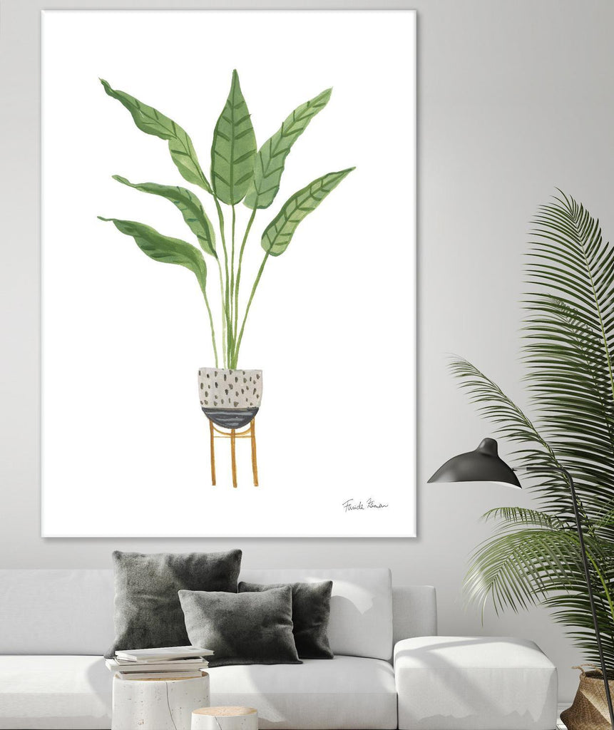 Green House Plants III by Farida Zaman on GIANT ART - botanical gray