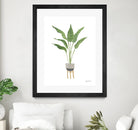Green House Plants III by Farida Zaman on GIANT ART - botanical gray