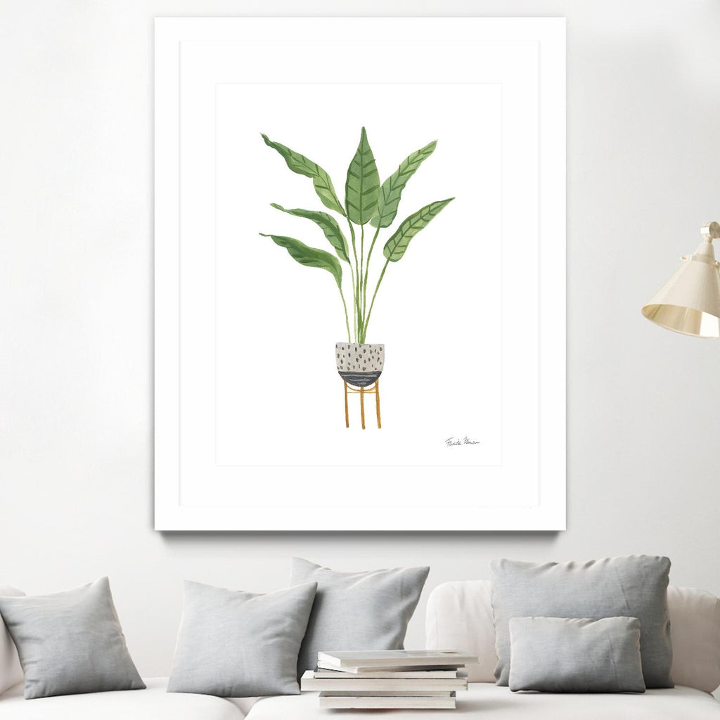 Green House Plants III by Farida Zaman on GIANT ART - botanical gray