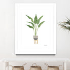 Green House Plants III by Farida Zaman on GIANT ART - botanical gray