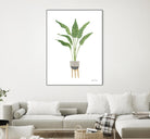 Green House Plants III by Farida Zaman on GIANT ART - botanical gray