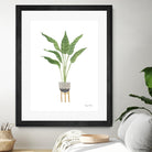 Green House Plants III by Farida Zaman on GIANT ART - botanical gray