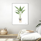 Green House Plants III by Farida Zaman on GIANT ART - botanical gray