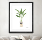 Green House Plants III by Farida Zaman on GIANT ART - botanical gray