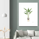 Green House Plants III by Farida Zaman on GIANT ART - botanical gray