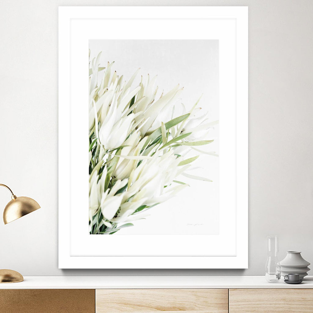 Leucadendron by Elise Catterall on GIANT ART - multi florals bouquets