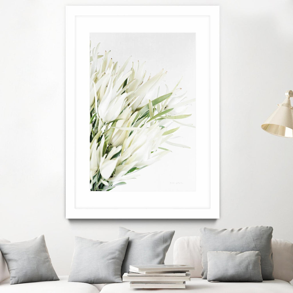 Leucadendron by Elise Catterall on GIANT ART - multi florals bouquets