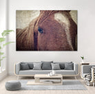 Dew Lashes by Debra Van Swearingen on GIANT ART - animals animals