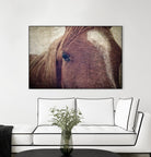 Dew Lashes by Debra Van Swearingen on GIANT ART - animals animals