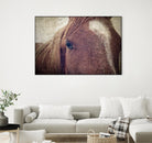 Dew Lashes by Debra Van Swearingen on GIANT ART - animals animals