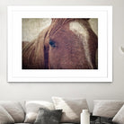 Dew Lashes by Debra Van Swearingen on GIANT ART - animals animals