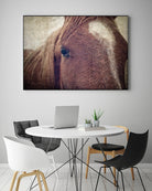 Dew Lashes by Debra Van Swearingen on GIANT ART - animals animals