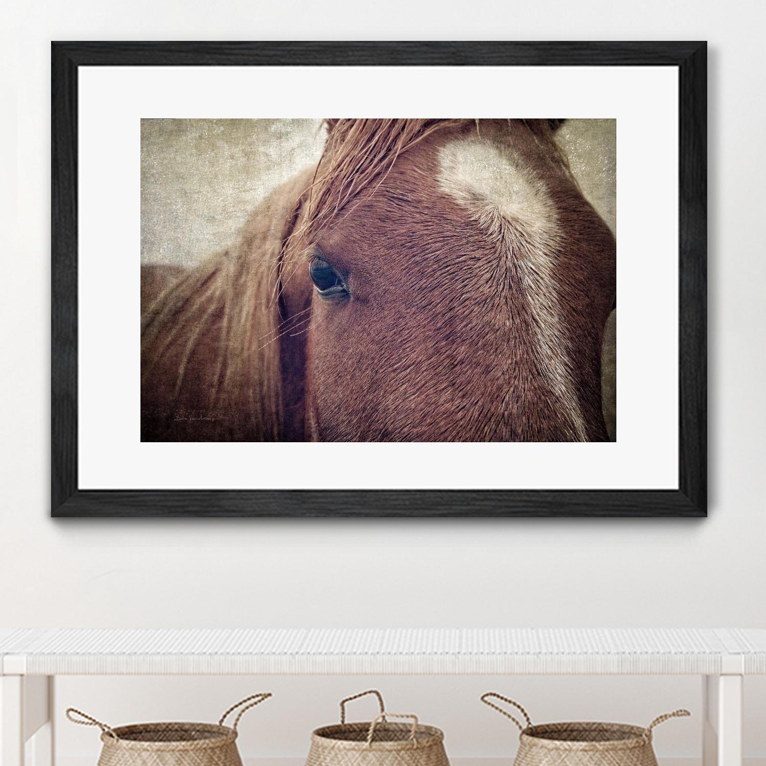 Dew Lashes by Debra Van Swearingen on GIANT ART - animals animals