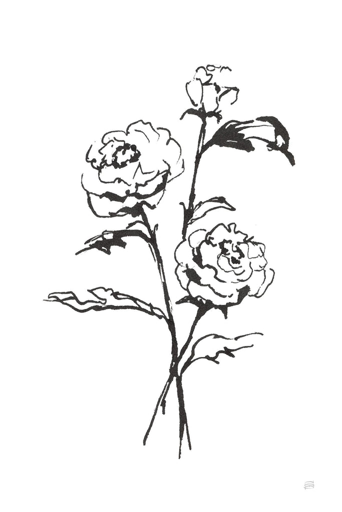 Line Ranunculus I by Chris Paschke on GIANT ART - florals black