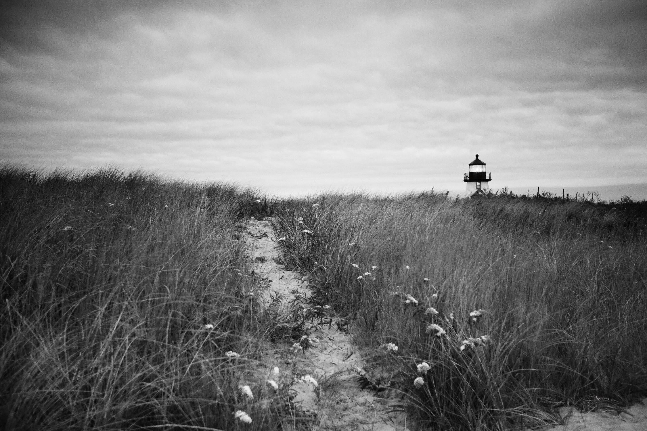 Nantucket Light par Aledanda sur GIANT ART - plage côtière et nautique