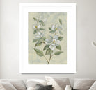 Sage Magnolia by Silvia Vassileva on GIANT ART - florals florals