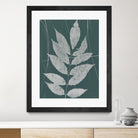 Enchanted Fall Cyanotype IX by Nancy Green on GIANT ART - green botanical photograph