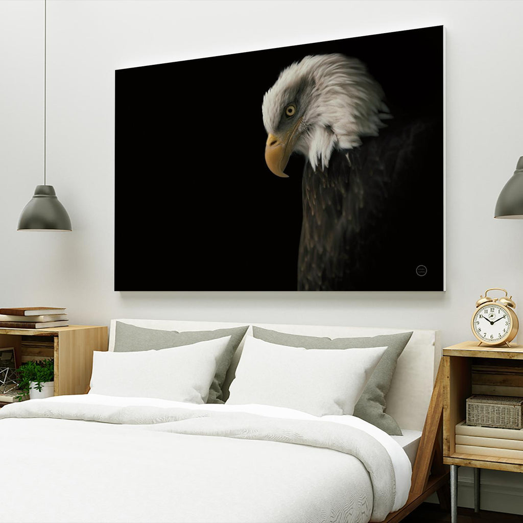 Eagle Bow par Nathan Larson sur GIANT ART - animaux aigle américain