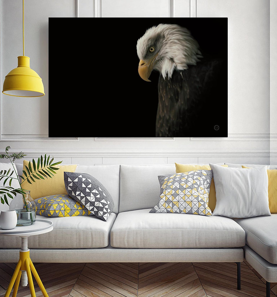 Eagle Bow by Nathan Larson on GIANT ART - animals american eagle