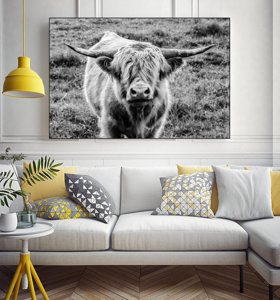 Highland Cow Staring Contest par Nathan Larson sur GIANT ART - animaux animaux