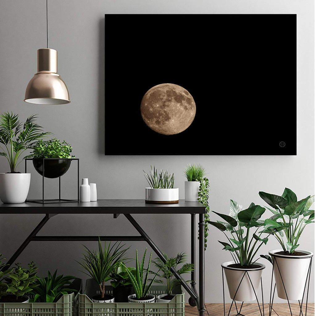 Moon Detail II par Nathan Larson sur GIANT ART - astronomie & astronomie céleste