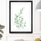 Eucalyptus I by Katrina Pete on GIANT ART - green plants & trees eucalyptus plants