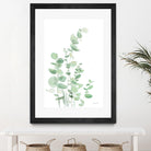 Eucalyptus I by Katrina Pete on GIANT ART - green plants & trees eucalyptus plants