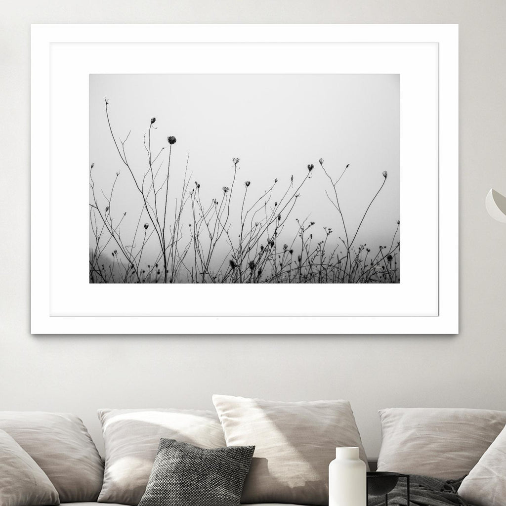Autumn Grasses by Aledanda on GIANT ART - black & white flowers stems