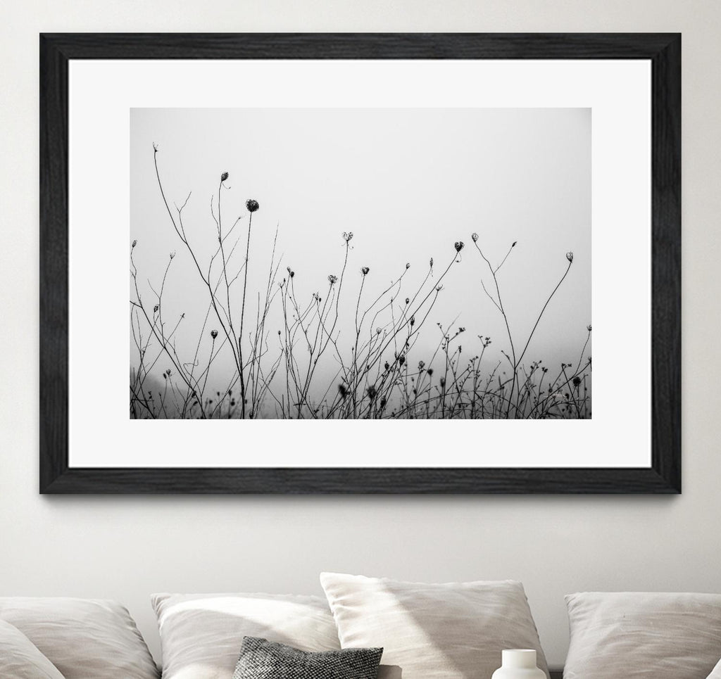 Autumn Grasses by Aledanda on GIANT ART - black & white flowers stems