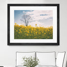 Spring Meadow by Aledanda on GIANT ART - blue flowers flowers