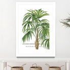 Riviera Palms II by Studio on GIANT ART - green tropical