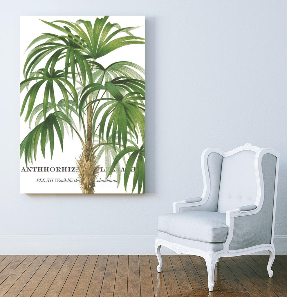 Riviera Palms II by Studio on GIANT ART - green tropical