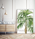 Riviera Palms II by Studio on GIANT ART - green tropical