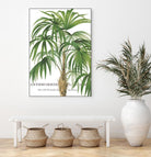 Riviera Palms II by Studio on GIANT ART - green tropical