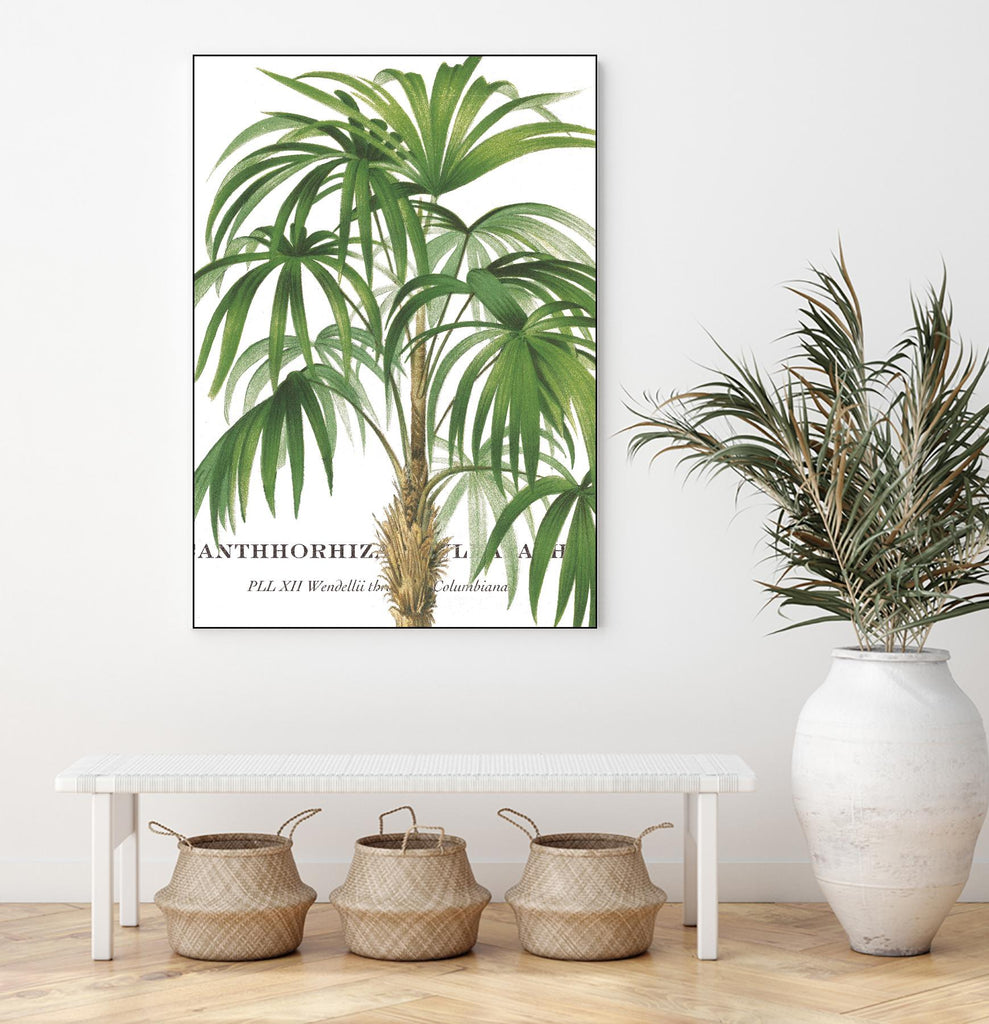 Riviera Palms II by Studio on GIANT ART - green tropical