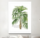 Riviera Palms II by Studio on GIANT ART - green tropical