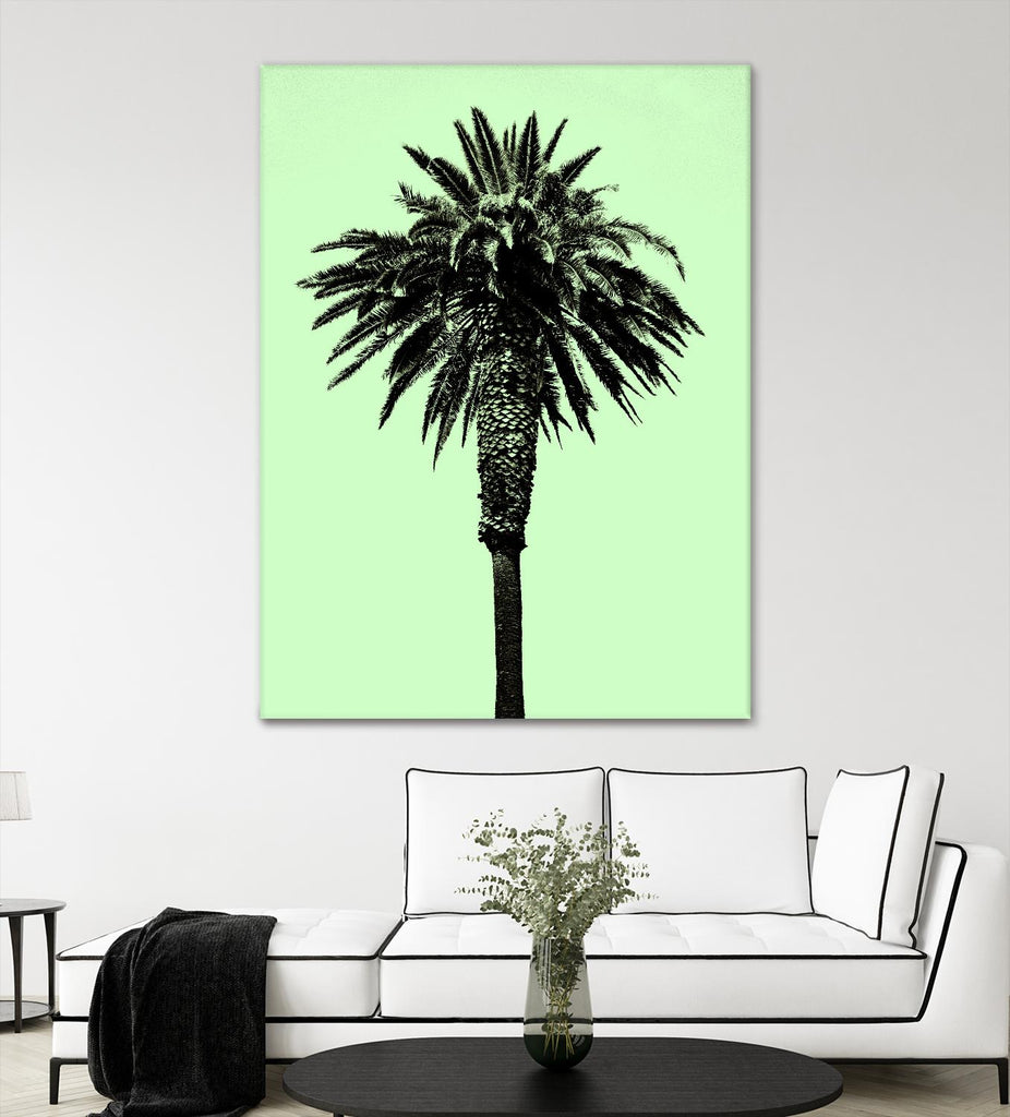 Palm Tree 1996 (Green) by Erik Asla on GIANT ART - multicolor photography; contemporary