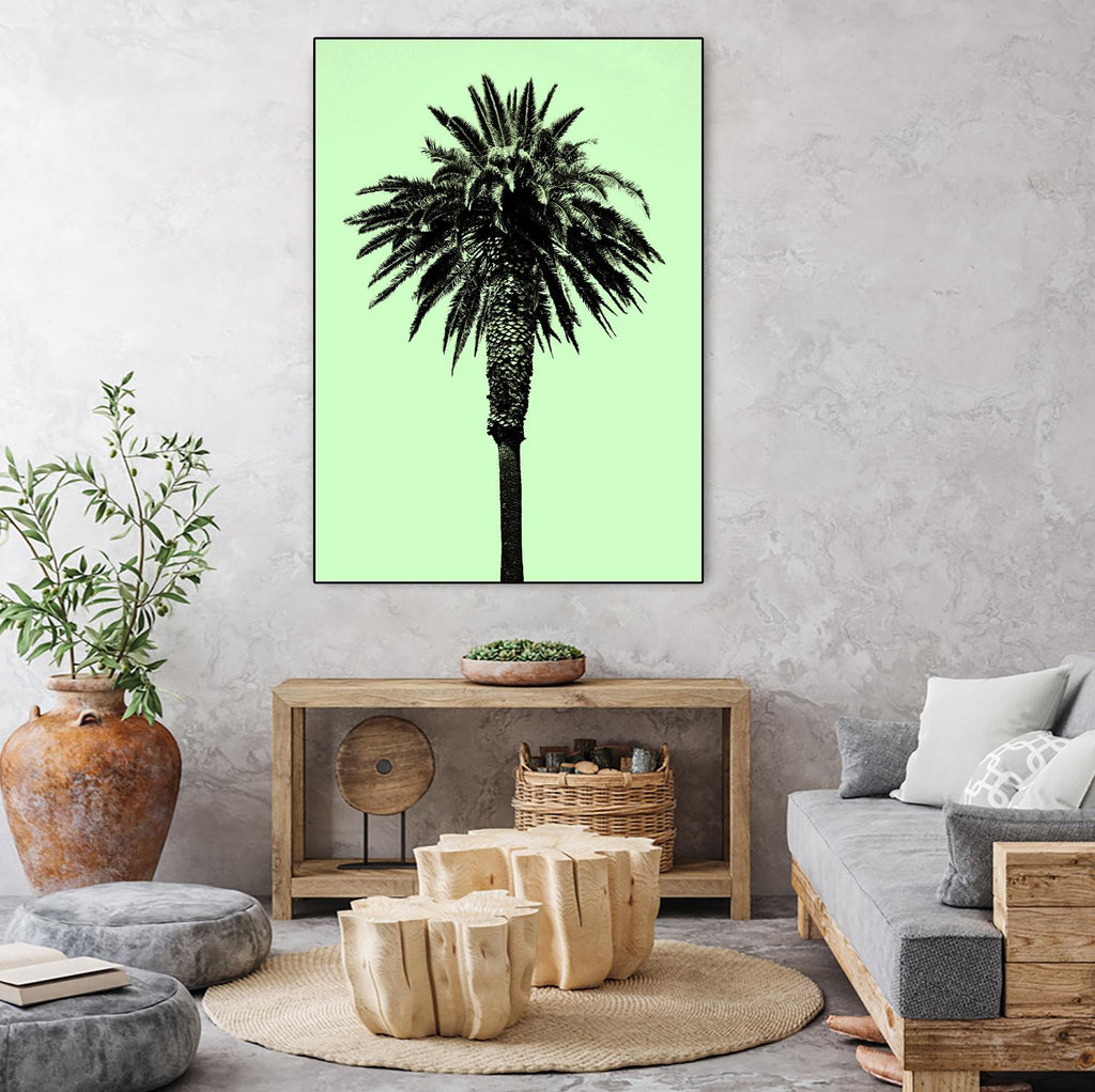 Palm Tree 1996 (Green) by Erik Asla on GIANT ART - multicolor photography; contemporary