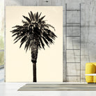 Palm Tree 1996 (Tan) by Erik Asla on GIANT ART - multicolor photography; contemporary