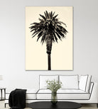 Palm Tree 1996 (Tan) by Erik Asla on GIANT ART - multicolor photography; contemporary