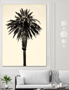 Palm Tree 1996 (Tan) by Erik Asla on GIANT ART - multicolor photography; contemporary