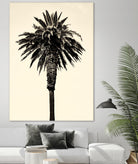 Palm Tree 1996 (Tan) by Erik Asla on GIANT ART - multicolor photography; contemporary