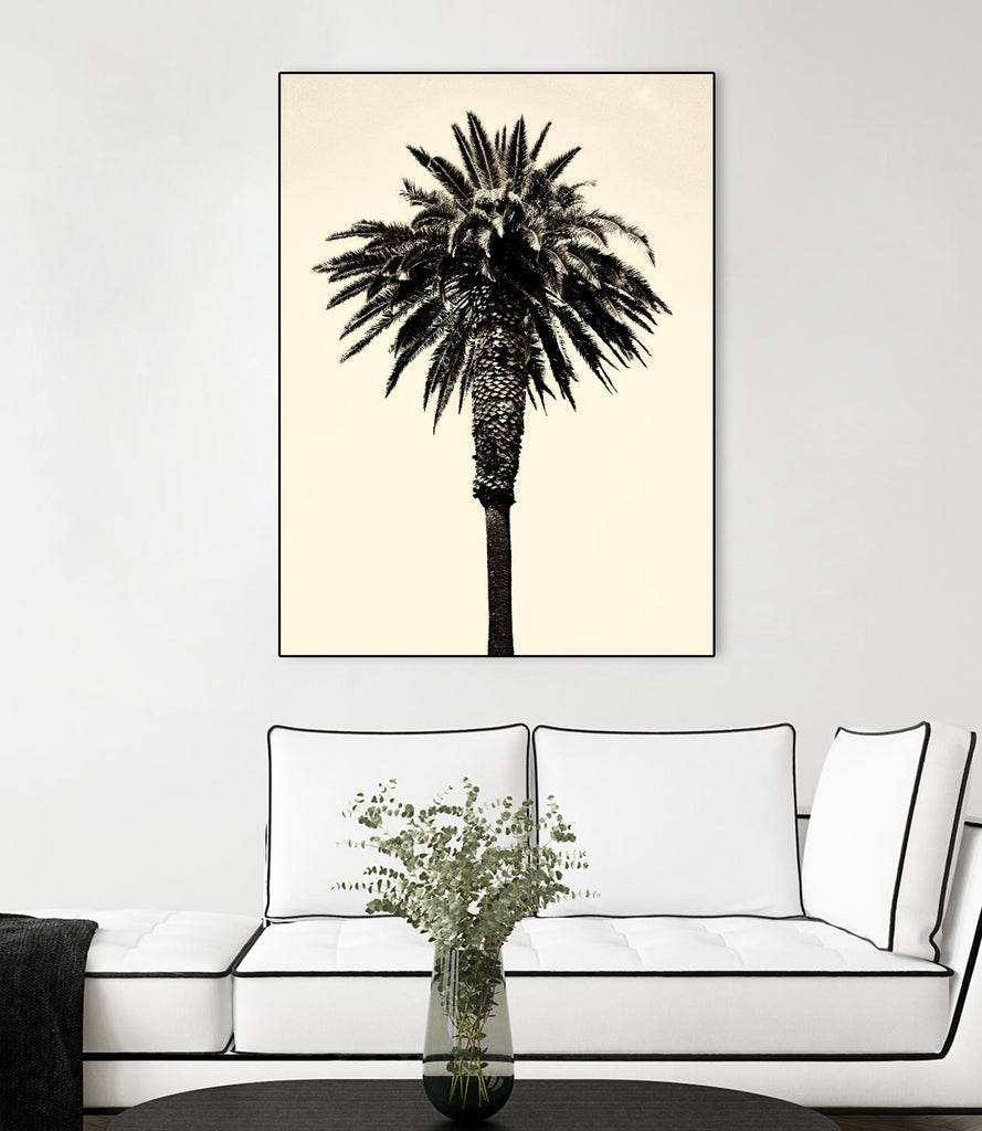 Palm Tree 1996 (Tan) by Erik Asla on GIANT ART - multicolor photography; contemporary
