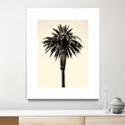 Palm Tree 1996 (Tan) by Erik Asla on GIANT ART - multicolor photography; contemporary