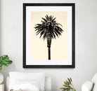 Palm Tree 1996 (Tan) by Erik Asla on GIANT ART - multicolor photography; contemporary