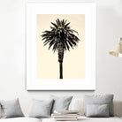 Palm Tree 1996 (Tan) by Erik Asla on GIANT ART - multicolor photography; contemporary