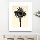 Palm Tree 1996 (Tan) by Erik Asla on GIANT ART - multicolor photography; contemporary