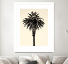 Palm Tree 1996 (Tan) by Erik Asla on GIANT ART - multicolor photography; contemporary