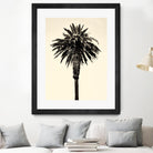 Palm Tree 1996 (Tan) by Erik Asla on GIANT ART - multicolor photography; contemporary